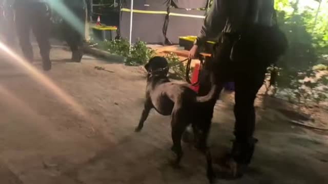 Continúan los trabajos de rescate en Miami por sexto día consecutivo