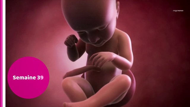 Vidéo développement du fœtus : le 9ème mois de grossesse