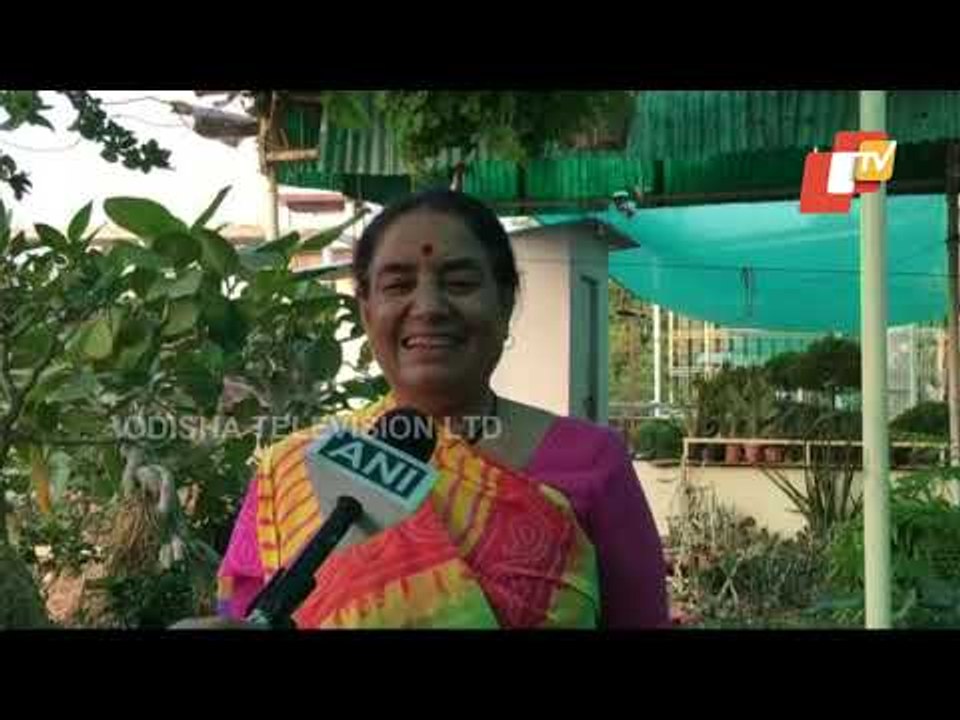 An Environment Lover Grows 40 Varieties Of Bonsai Trees In Jabalpur