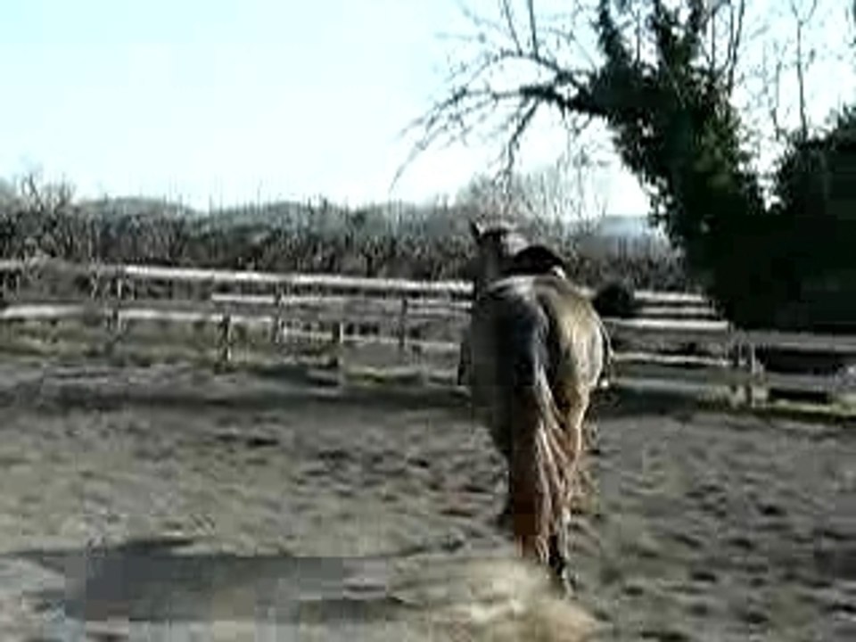 Racaille - Longe