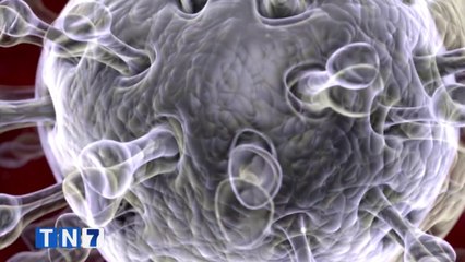 tn7-variante-delta-compromete-inmunidad-de-rebaño-para-diciembre-290621