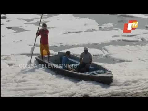 Toxic Form Covered Yamuna River Near Delhi's Kalindi Kunj