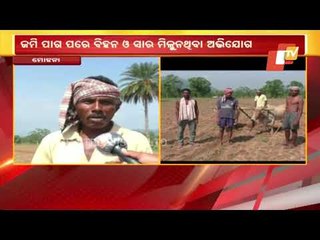 Corn Farmers In Mohana Complain About Scarcity Of Seed & Fertiliser