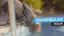 Tráiler de Mandíbulas (Mandibules) de Quentin Dupieux en VOSE