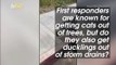 Check Out the Moment a California Police Officer Saves Adorable Ducklings Using Special Tongs!