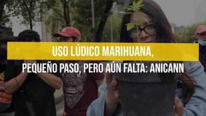 Uso lúdico marihuana, pequeño paso, pero aún falta: ANICANN
