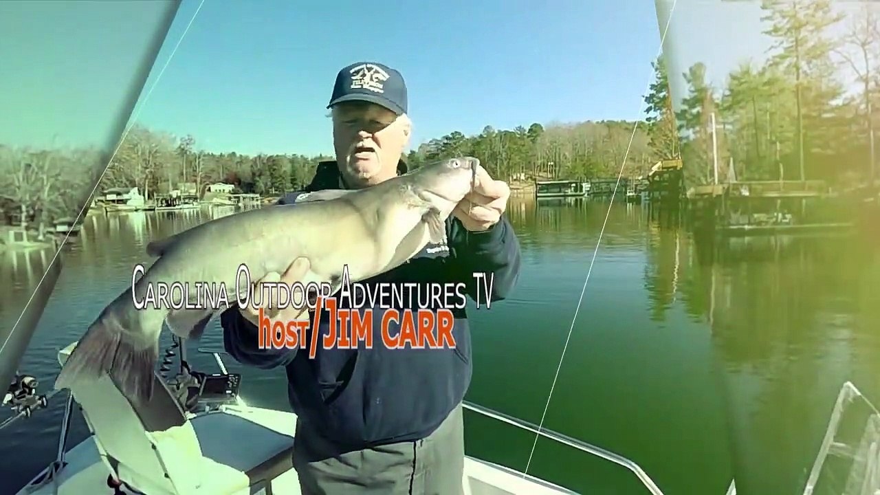 Perch Fishing on Lake James