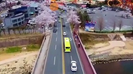 الكلمات فيها سرا" والآيات تبين معجزة الله سبحانة وتعالى فما هي ؟