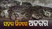 Giant Python Rescued From Medical Store In Malkangiri Village