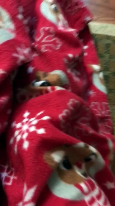 2018 12 25 08 17 17 Christmas Morning