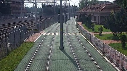 Ce conducteur de tram s'arrete pour aider une tortue