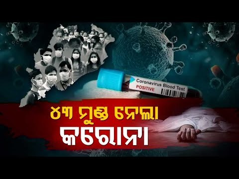 Odisha Reports 43 Deaths And 6,019 Positives In Last 24 Hours