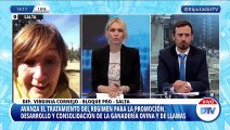 Virginia Cornejo, diputada del PRO, sobre la modificación de la ley ovina: 