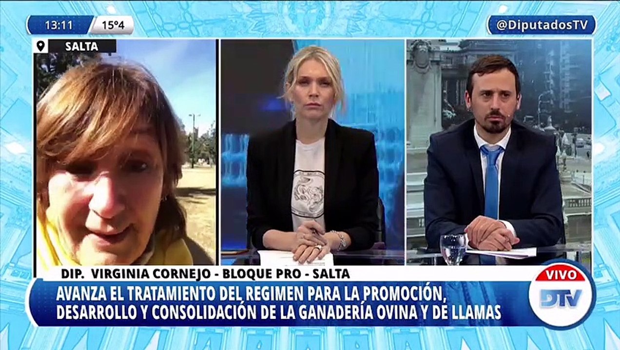 Virginia Cornejo, diputada del PRO, sobre la modificación de la ley ovina: "Quienes han trabajado en esta prórroga manifiestan que no se están actualizando los montos como para poder tener una mayor y mejor producción"