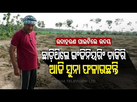 Special Story | Bhadrak Youth Quits Engineering Job, Earns Lakhs Through Farming