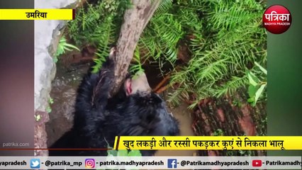 Descargar video: VIDEO STORY : खुद रस्सी और लकड़ी पकड़कर कुएं से बाहर आया भालू