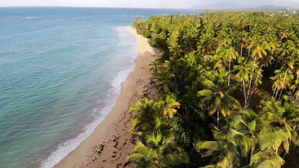 Drone Footage of A Tropical Beach