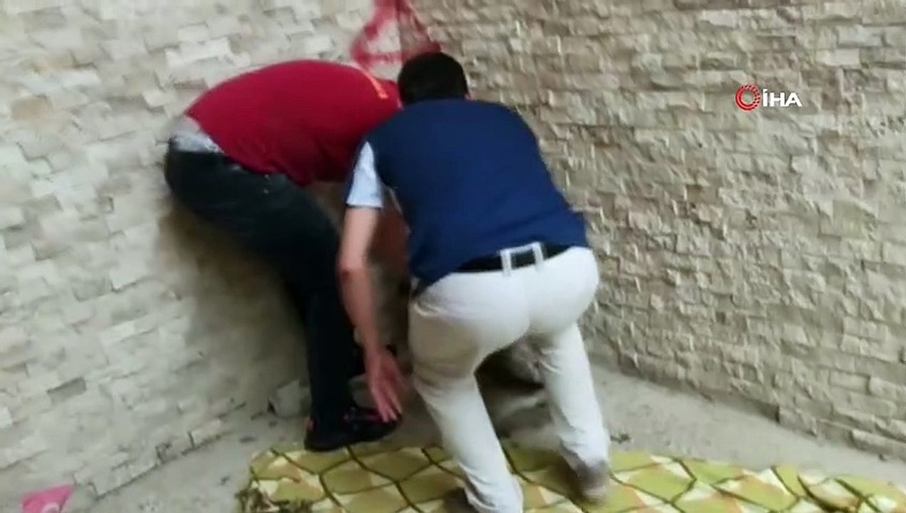 Yaralı köpeği kiraladıkları araçla hayvan barınağına götürdüler