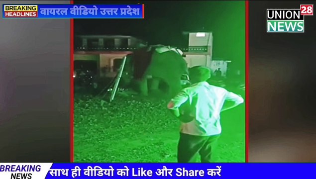 Viral Video Elephant हाथी को आई गुस्सा कर दिया बारात का इलाज चढ़ा दी बरात देखिए सबसे बड़ी खबर