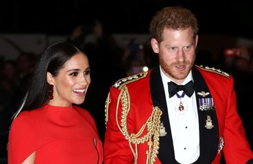 Are Prince Harry and Duchess Meghan using holy water on their garden?