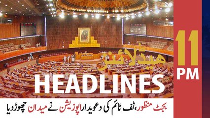ARYNews Headlines | 11 PM | 29th June 2021