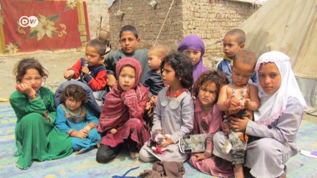 Талибы хотят захватить власть после вывода войск США: что говорят живущие за границей афганцы? (29.06.2021)