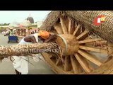 Puri Rath Yatra | Chariot Construction Underway In Full Swing | Live From Ratha Khala