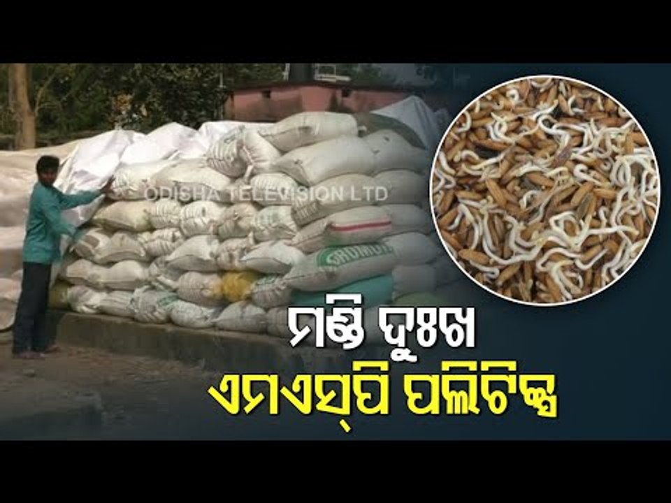 MSP Politics Continues As Paddy Procurement Woes Still Haunt Odisha Farmers