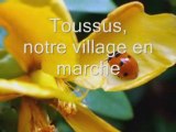 Programme Toussus, notre village en marche