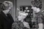 Dennis the Menace S03E12 The Fifeen-Foot Christmas Tree