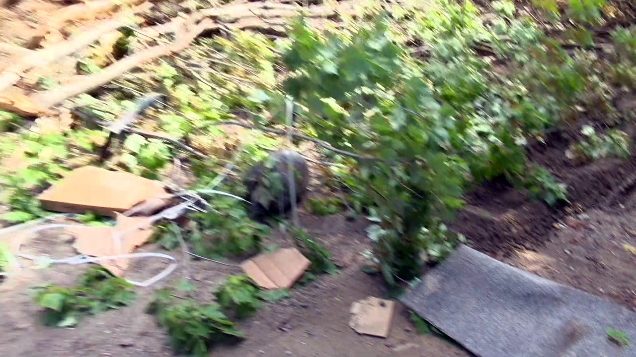 CH 29 Juin TOPO Explosion Petite-Riviere-St-Francois WEB