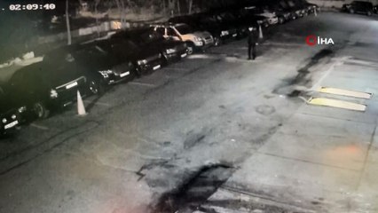 Sarıyer’de vahşet: Yavru köpeği zehirli ok ile vurdu