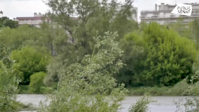 Pourvu que ça dure + (29/06/2021)