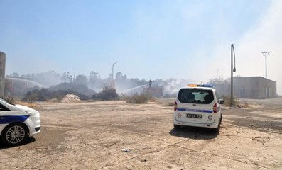 Dalaman'da ormanlık alana sıçrayan yangının başladığı fabrika mühürlendi