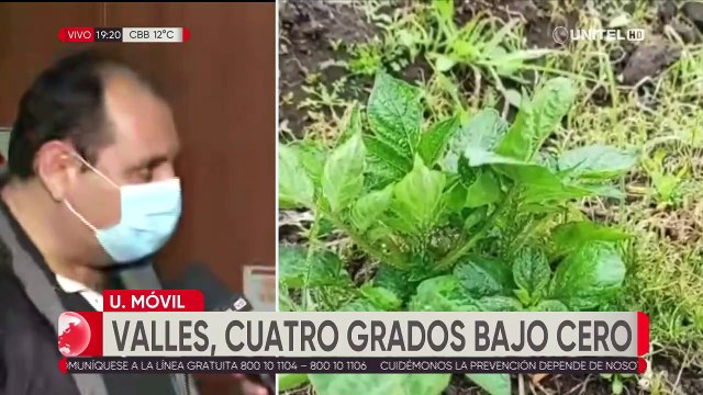 Las temperaturas seguirán bajando y se sentirán en los Valles cruceños