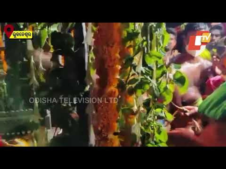 Sitala Sasthi Celebration Of Lord Lingaraj In Bhubaneswar