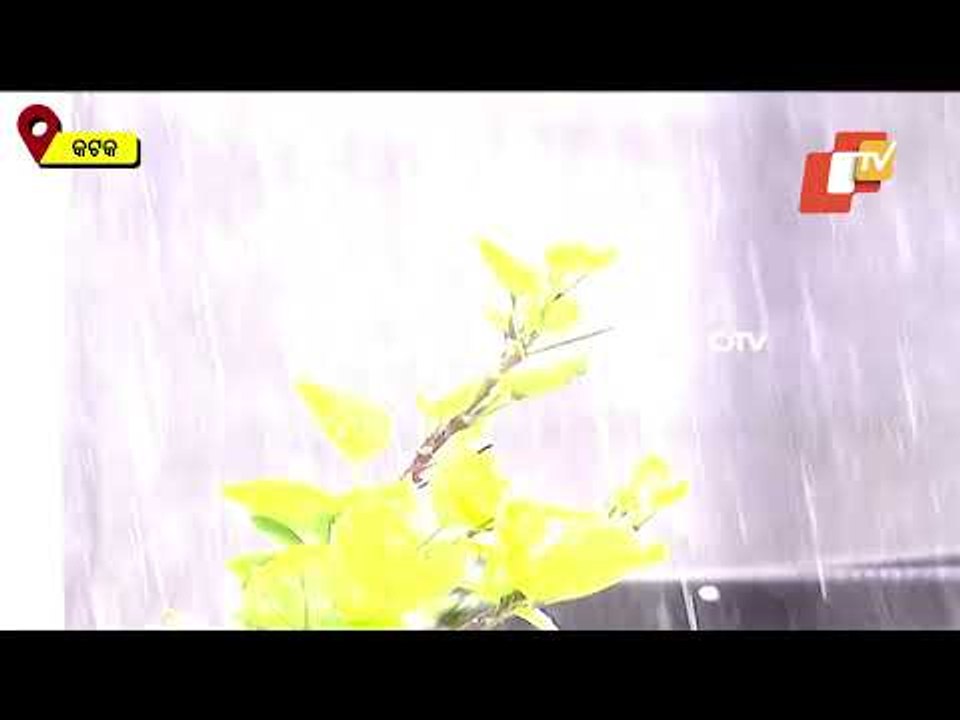 Watch Visuals - Cuttack Sees Heavy Rainfall