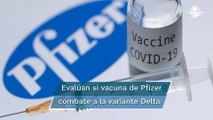 Pfizer evalúa si una tercera dosis de su vacuna es capaz de combatir a la variante Delta