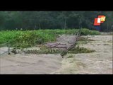 Watch - Flood Sweeps Away Bridge In East Midnapur