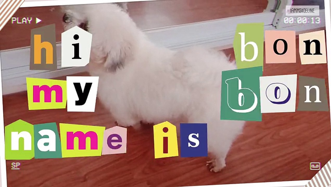 Hi! My Name Is BonBon 