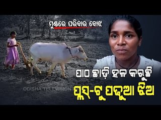 Special Story | Plus 2 Girl Student In Malkangiri Takes To Farming To Support Family