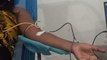 Hemocentro de Iguatu realiza campanha de doação de sangue em Ipaumirim, no Centro-Sul cearense
