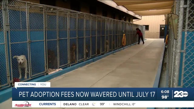 Pet adoption fees waived until July 17