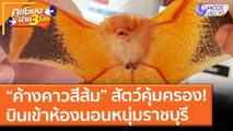 “ค้างคาวสีส้ม” สัตว์คุ้มครอง! บินเข้าห้องนอนหนุ่มราชบุรี (29 มิ.ย. 64) คุยโขมงบ่าย 3 โมง