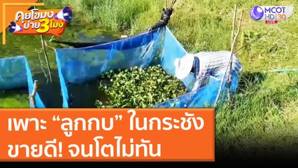 เพาะ "ลูกกบ" ในกระชัง ขายดี! จนโตไม่ทัน (29 มิ.ย. 64) คุยโขมงบ่าย 3 โมง