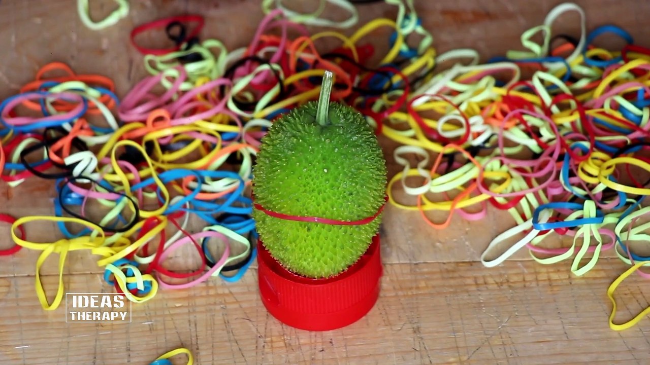 Spiny Gourd Vs Rubber Bands | Latest Experiment Challenge Video | Ideas Therapy