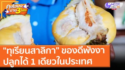 "ทุเรียนสาลิกา" ของดีพังงา ปลูกได้ 1 เดียวในประเทศที่ "กะปง" (29 มิ.ย. 64) คุยโขมงบ่าย 3 โมง