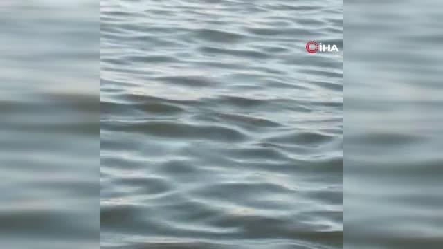 Kasımpaşa sahilinde erkek cesedi bulundu