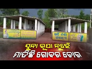 800 kg Cow Dung Stolen From Chhattisgarh Village, Police Register Theft Case