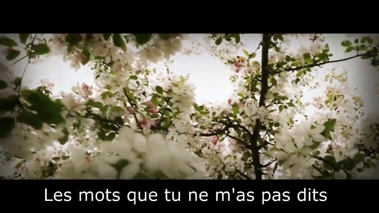 Les mots que tu ne m'as pas dits - Mes mots à part